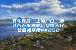 有车有房、上海户口、年入百万没对象！实探人民公园相亲角#X252