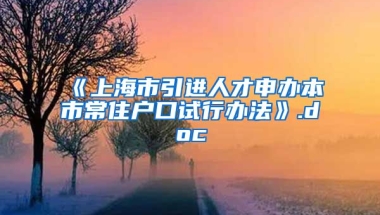 《上海市引进人才申办本市常住户口试行办法》.doc