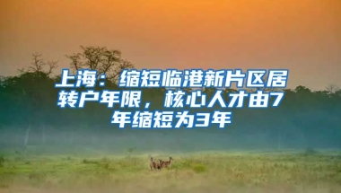 上海：缩短临港新片区居转户年限，核心人才由7年缩短为3年