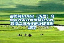 最新或2022（历届）乌鲁木齐市社保可以补交吗,解读乌鲁木齐市社保补缴流程