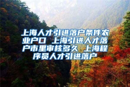 上海人才引进落户条件农业户口 上海引进人才落户市里审核多久 上海程序员人才引进落户