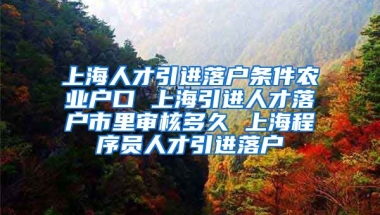 上海人才引进落户条件农业户口 上海引进人才落户市里审核多久 上海程序员人才引进落户