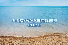 上海居转户中级职称目录2022