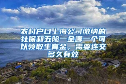 农村户口上海公司缴纳的社保和五险一金哪一个可以领取生育金，需要连交多久有效