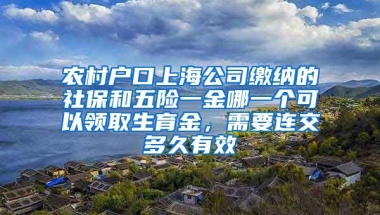 农村户口上海公司缴纳的社保和五险一金哪一个可以领取生育金，需要连交多久有效