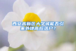 西安高新区大学城能否引来外地高校落户？