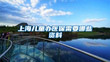 上海儿童办医保需要哪些资料