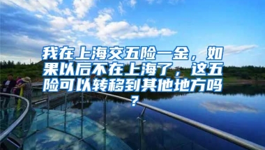 我在上海交五险一金，如果以后不在上海了，这五险可以转移到其他地方吗？