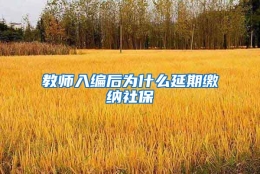 教师入编后为什么延期缴纳社保