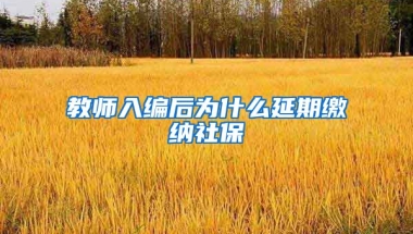 教师入编后为什么延期缴纳社保