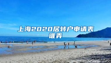 上海2020居转户申请表谁弄