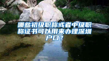 哪些初级职称或者中级职称证书可以用来办理深圳户口？