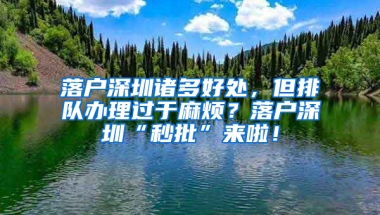 落户深圳诸多好处，但排队办理过于麻烦？落户深圳“秒批”来啦！