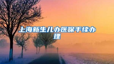 上海新生儿办医保手续办理