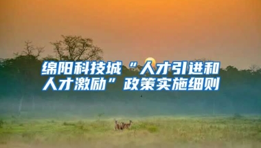 绵阳科技城“人才引进和人才激励”政策实施细则