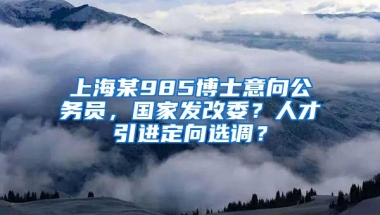 上海某985博士意向公务员，国家发改委？人才引进定向选调？