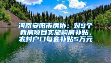 河南安阳市房协：对9个新房项目实施购房补贴，农村户口每套补贴5万元