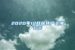 2020年12月居转户上海公示