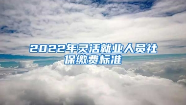 2022年灵活就业人员社保缴费标准