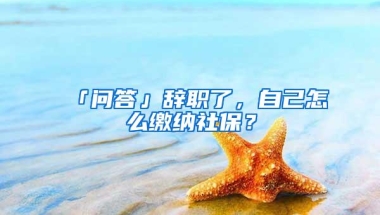 「问答」辞职了，自己怎么缴纳社保？