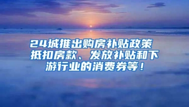 24城推出购房补贴政策 抵扣房款、发放补贴和下游行业的消费券等！