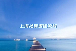 上海社保退保流程