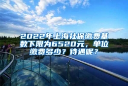 2022年上海社保缴费基数下限为6520元，单位缴费多少？待遇呢？