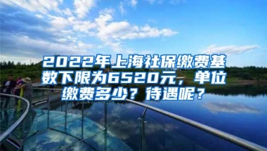 2022年上海社保缴费基数下限为6520元，单位缴费多少？待遇呢？