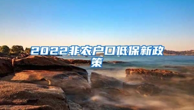 2022非农户口低保新政策