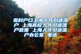 农村户口上海人才引进落户 上海高校人才引进落户政策 上海人才引进落户办公室 电话