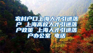 农村户口上海人才引进落户 上海高校人才引进落户政策 上海人才引进落户办公室 电话