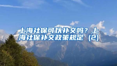 上海社保可以补交吗？上海社保补交政策规定 (2)