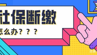 注意啦！社保断缴，这样补缴没问题！