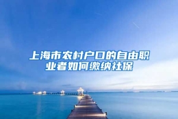 上海市农村户口的自由职业者如何缴纳社保