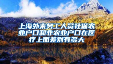 上海外来务工人员社保农业户口和非农业户口在医疗上面差别有多大