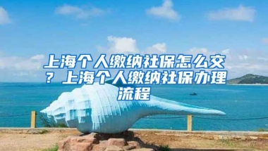 上海个人缴纳社保怎么交？上海个人缴纳社保办理流程