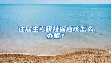 往届生考研社保应该怎么办呢？