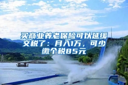 买商业养老保险可以延缓交税了：月入1万，可少缴个税85元