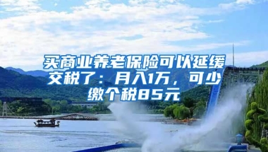 买商业养老保险可以延缓交税了：月入1万，可少缴个税85元