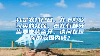 我是农村户口，在上海公司买的社保，现在有颗牙齿要做烤瓷牙，请问在医保的范围内吗？