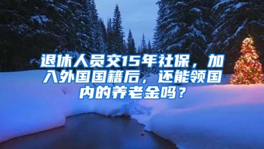 退休人员交15年社保，加入外国国籍后，还能领国内的养老金吗？