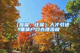 （应届、往届）人才引进集体户口办理流程