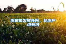 深圳拟发放补贴，非深户也有份