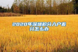 2020年深圳积分入户差分怎么办