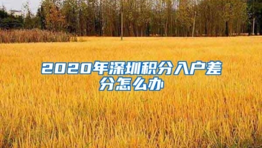 2020年深圳积分入户差分怎么办