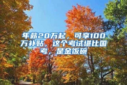 年薪20万起，可享100万补贴，这个考试堪比国考，是金饭碗