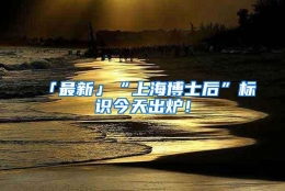 「最新」“上海博士后”标识今天出炉！