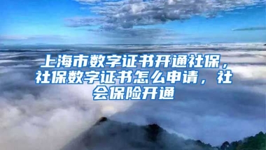 上海市数字证书开通社保，社保数字证书怎么申请，社会保险开通