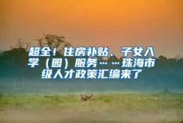 超全！住房补贴、子女入学（园）服务……珠海市级人才政策汇编来了