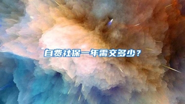 自费社保一年需交多少？